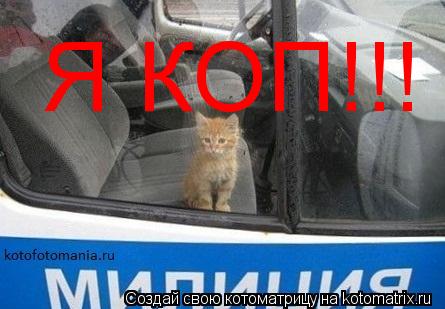 Котоматрица: Я КОП!!!