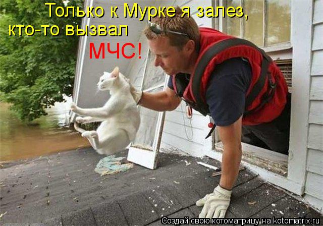 Только к Мурке я залез, кто-то вызвал МЧС!... Котоматрица: Только к Мурке я залез, кто-то вызвал МЧС!