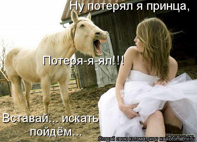 Котоматрица: Ну потерял я принца,  Потеря-я-ял!!! Вставай... искать  пойдём...