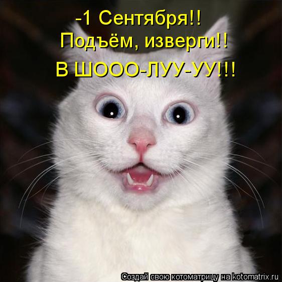 -1 Сентября!! Подъём, изверги!! В ШООО-ЛУУ-УУ!!!... Котоматрица: -1 Сентября!! Подъём, изверги!! В ШООО-ЛУУ-УУ!!!