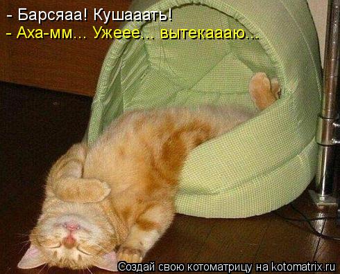 - Барсяаа! Кушааать! - Аха-мм... Ужеее... вытекаааю...... Котоматрица: - Барсяаа! Кушааать! - Аха-мм... Ужеее... вытекаааю...