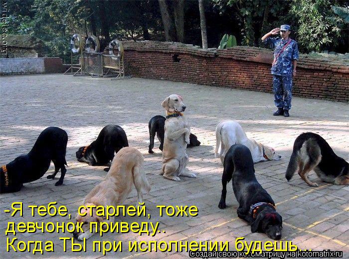 Когда ТЫ при исполнении будешь... девчонок приведу.. -Я тебе, старлей, тоже... Котоматрица: Когда ТЫ при исполнении будешь... девчонок приведу.. -Я тебе, старлей, тоже