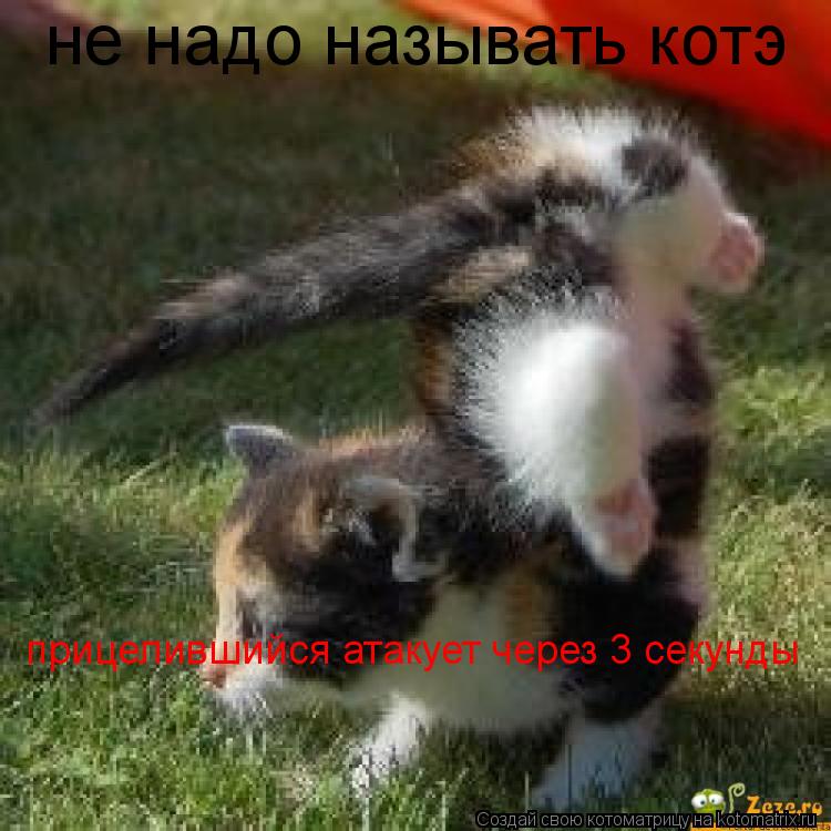 не надо называть котэ прицелившийся атакует через 3 секунды... Котоматрица: не надо называть котэ прицелившийся атакует через 3 секунды