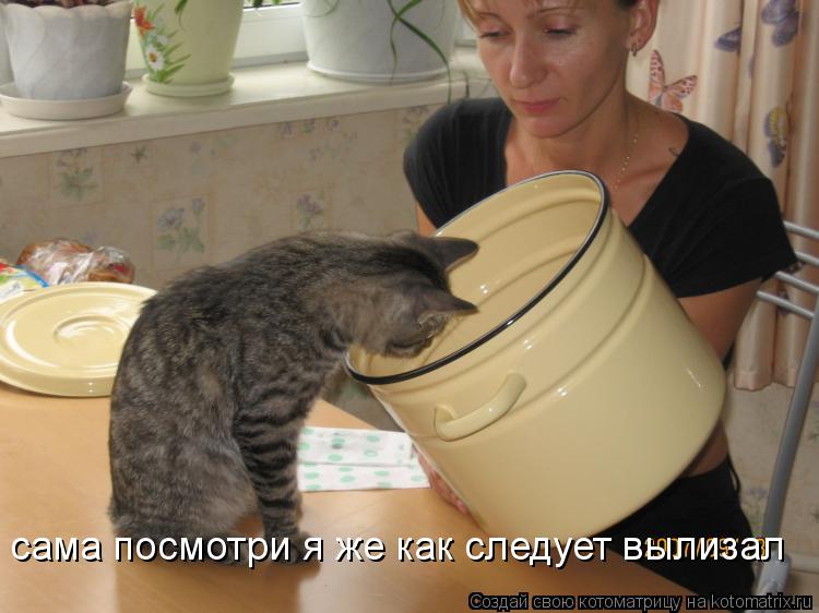 сама посмотри я же как следует вылизал... Котоматрица: сама посмотри я же как следует вылизал
