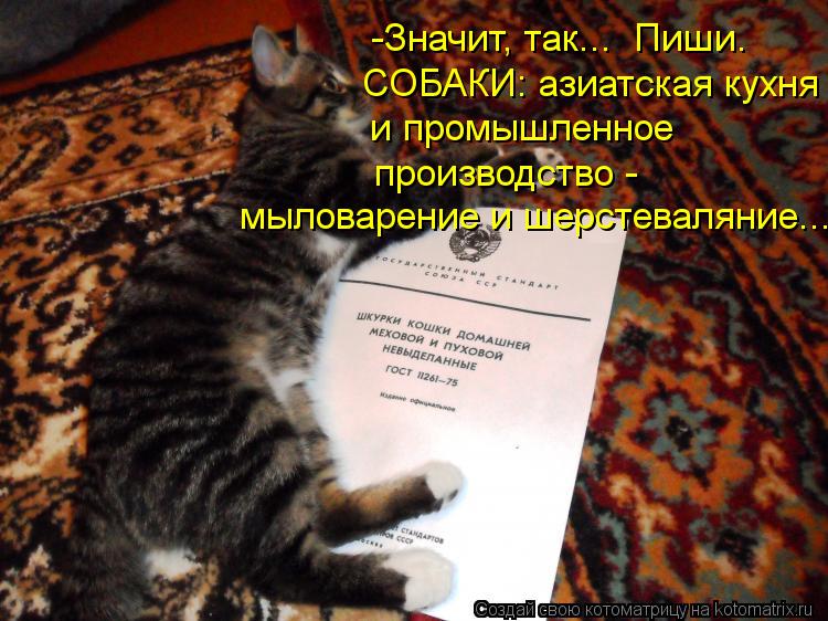 -Значит, так... Пиши. СОБАКИ: азиатская кухня и промышленное производство - мыловарение и шерстев... Котоматрица: -Значит, так... Пиши. СОБАКИ: азиатская кухня и промышленное производство - мыловарение и шерстеваляние...