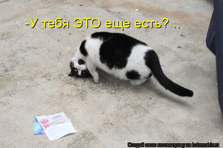 -У тебя ЭТО еще есть? ..... Котоматрица: -У тебя ЭТО еще есть? ..