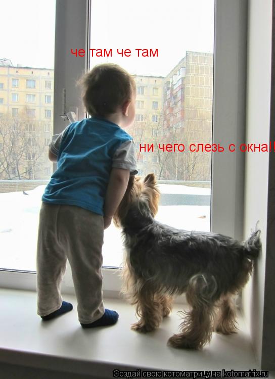 че там че там ни чего слезь с окна!!! ни чего слезь с окна!!!... Котоматрица: че там че там ни чего слезь с окна!!! ни чего слезь с окна!!!