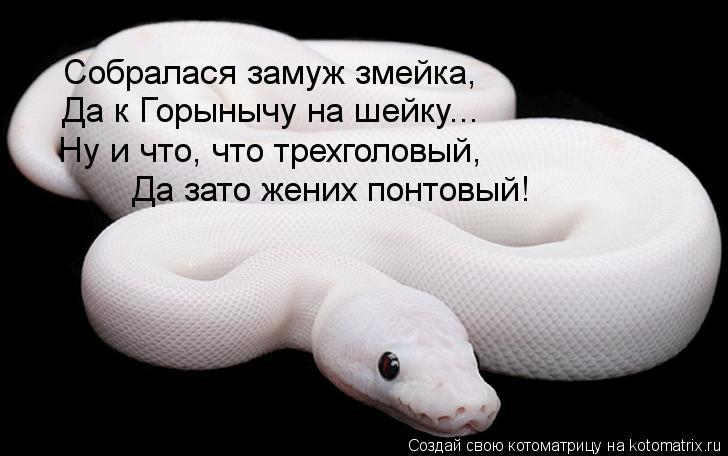 Собралася замуж змейка, Да к Горынычу на шейку... Ну и что, что трехголовый, Да зато жених понтовый!... Котоматрица: Собралася замуж змейка, Да к Горынычу на шейку... Ну и что, что трехголовый, Да зато жених понтовый!