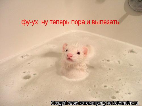 Котоматрица: фу-ух  ну теперь пора и вылезать