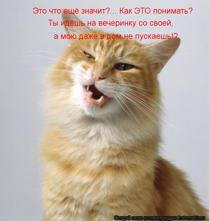 Котоматрица: Это что ещё значит?... Как ЭТО понимать? Ты идёшь на вечеринку со своей, а мою даже в дом не пускаешь!?