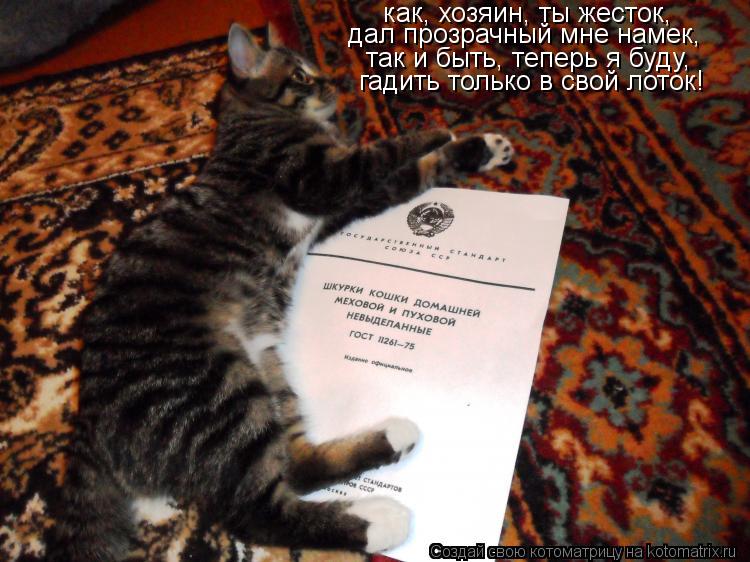 Котоматрица: как, хозяин, ты жесток, дал прозрачный мне намек, так и быть, теперь я буду,  гадить только в свой лоток!
