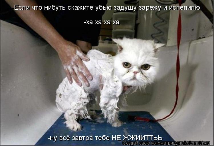Котоматрица: -Если что нибуть скажите убью задушу зарежу и испепилю -ха ха ха ха -ну всё завтра тебе НЕ ЖЖИИТТЬЬ