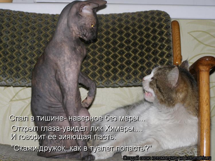Котоматрица: Спал в тишине- наверное без меры... Открыл глаза-увидел лик Химеры.... И говорит ее зияющая пасть: "Скажи,дружок, как в туалет попасть?"