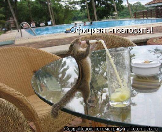 Котоматрица: Официант-повторить!