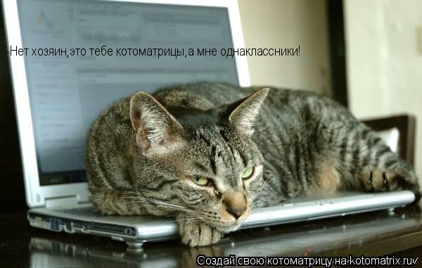 Котоматрица: -Нет хозяин,это тебе котоматрицы,а мне однаклассники!
