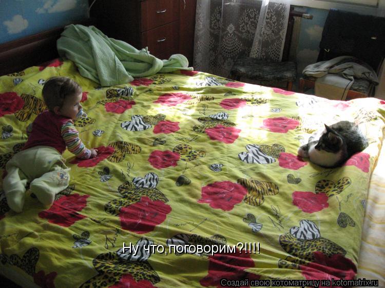 Котоматрица: Ну что,поговорим?!!!!