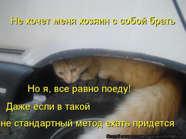 Котоматрица: Не хочет меня хозяин с собой брать Но я, все равно поеду! Даже если в такой  не стандартный метод ехать придется