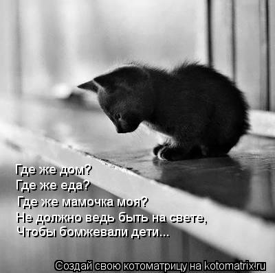 Котоматрица: Где же дом? Где же еда? Где же мамочка моя? Не должно ведь быть на свете, Чтобы бомжевали дети...