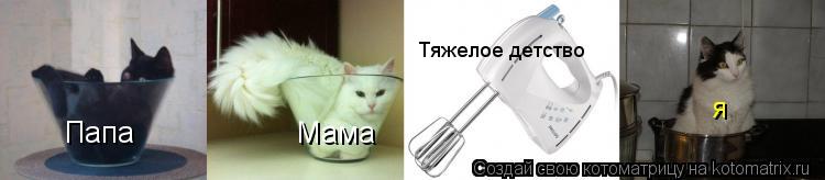 Котоматрица: Папа Мама Тяжелое детство  Я