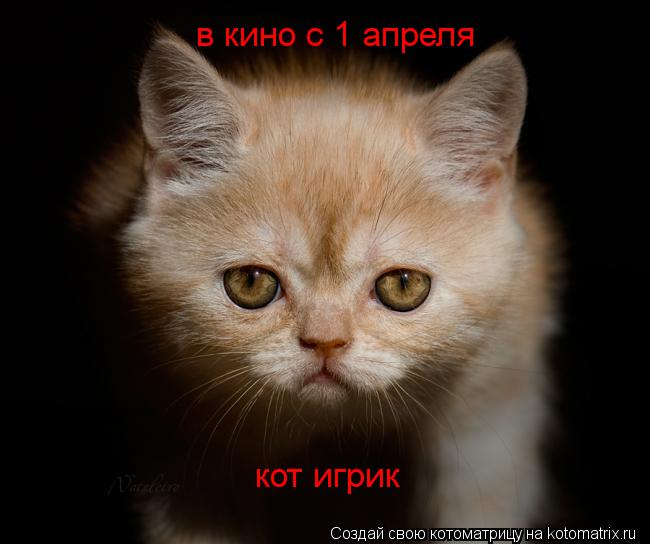 Котоматрица: кот игрик в кино с 1 апреля