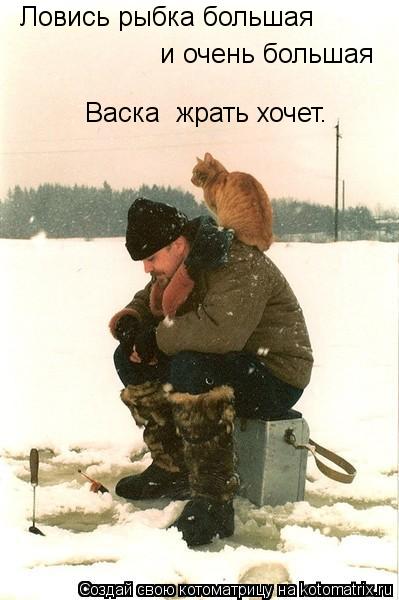 Котоматрица: Ловись рыбка большая  и очень большая  Васка  жрать хочет.