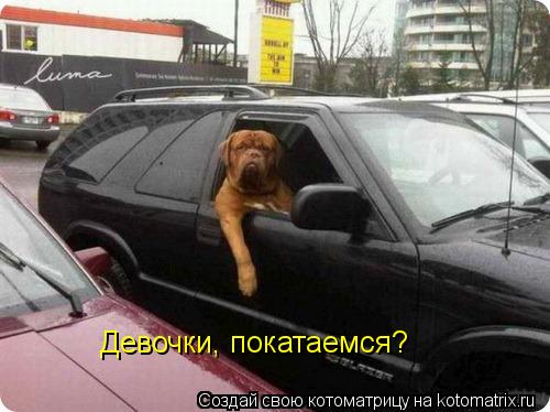 Котоматрица: Девочки, покатаемся?