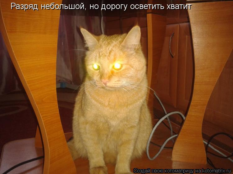 Котоматрица: Разряд небольшой, но дорогу осветить хватит