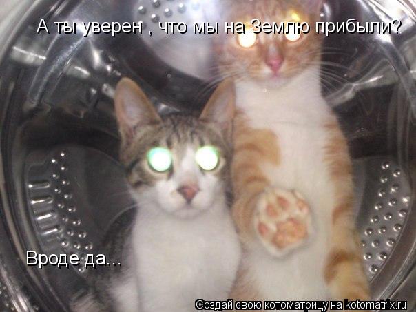 Котоматрица: А ты уверен , что мы на Землю прибыли?  Вроде да...