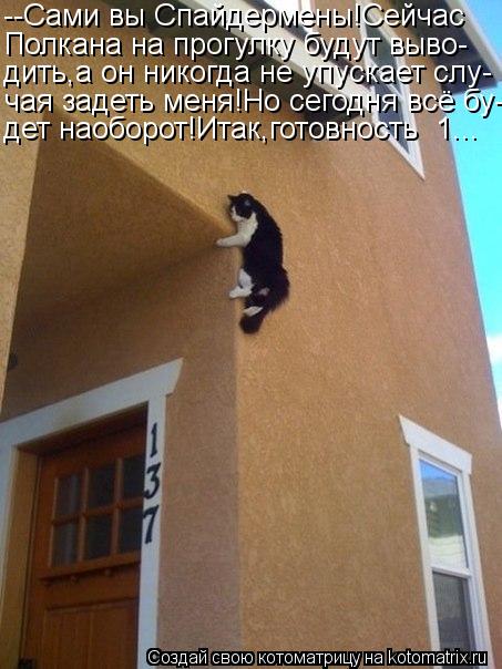 Котоматрица: --Сами вы Спайдермены!Сейчас Полкана на прогулку будут выво- дить,а он никогда не упускает слу- чая задеть меня!Но сегодня всё бу- дет наоборо