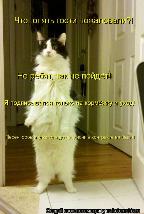 Котоматрица: Что, опять гости пожаловали?! Не ребят, так не пойдёт! Я подписывался только на кормёжку и уход! Песен, оров и алкоголя до часу ночи в контракт