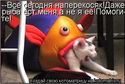 Котоматрица: --Всё сегодня наперекосяк!Даже рыба ест меня,а не я её!Помоги- те!