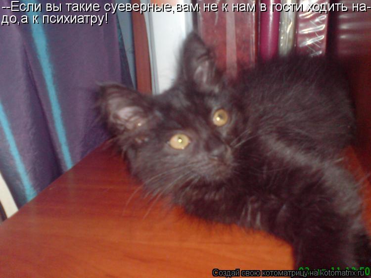 Котоматрица: --Если вы такие суеверные,вам не к нам в гости ходить на- до,а к психиатру!