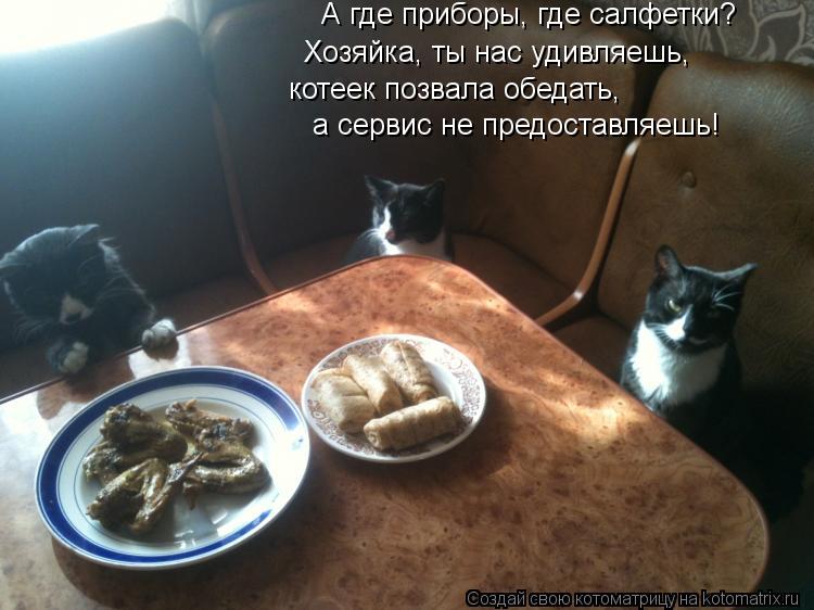Котоматрица: котеек позвала обедать, Хозяйка, ты нас удивляешь, А где приборы, где салфетки? а сервис не предоставляешь!