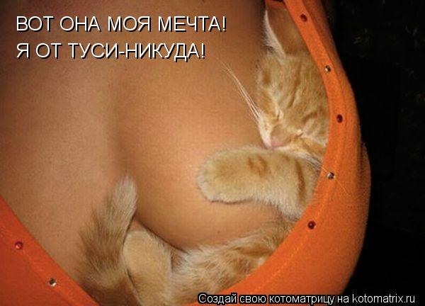 ВОТ ОНА МОЯ МЕЧТА! Я ОТ ТУСИ-НИКУДА!... Котоматрица: ВОТ ОНА МОЯ МЕЧТА! Я ОТ ТУСИ-НИКУДА!