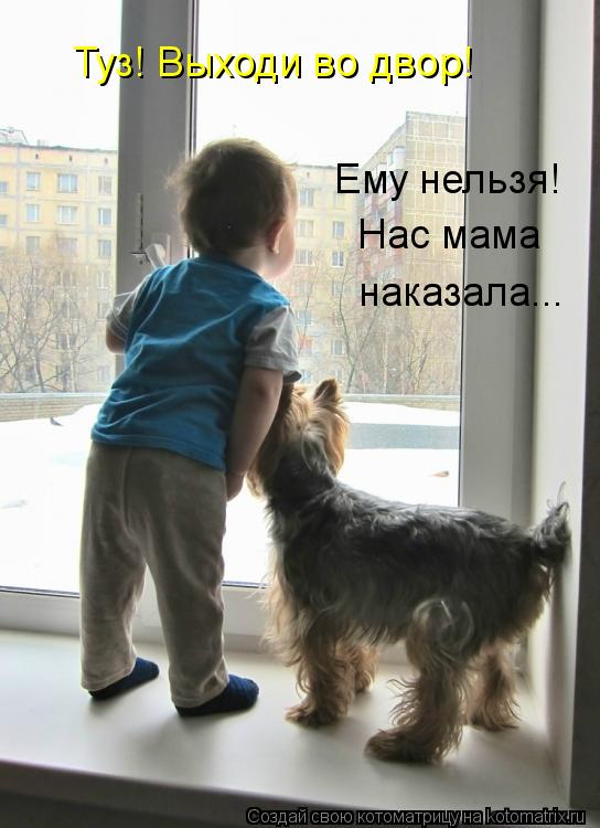 Туз! Выходи во двор! Ему нельзя! Нас мама наказала...... Котоматрица: Туз! Выходи во двор! Ему нельзя! Нас мама наказала...