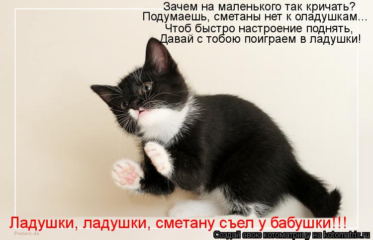 Зачем на маленького так кричать? Подумаешь, сметаны нет к оладушкам... Чтоб быстро настроение поднять... Котоматрица: Зачем на маленького так кричать? Подумаешь, сметаны нет к оладушкам... Чтоб быстро настроение поднять, Давай с тобою поиграем в ладушки! Ладу