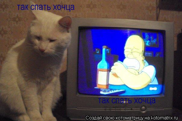 так спать хочца так спать хочца... Котоматрица: так спать хочца так спать хочца