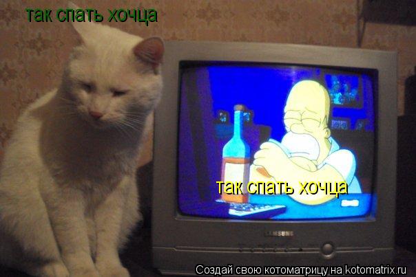 так спать хочца так спать хочца... Котоматрица: так спать хочца так спать хочца