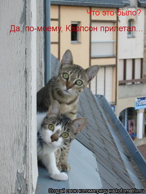 Что это было? Да, по-моему, Карлсон прилетал...... Котоматрица: Что это было? Да, по-моему, Карлсон прилетал...
