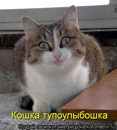 Кошка тупоулыбошка... Котоматрица: Кошка тупоулыбошка