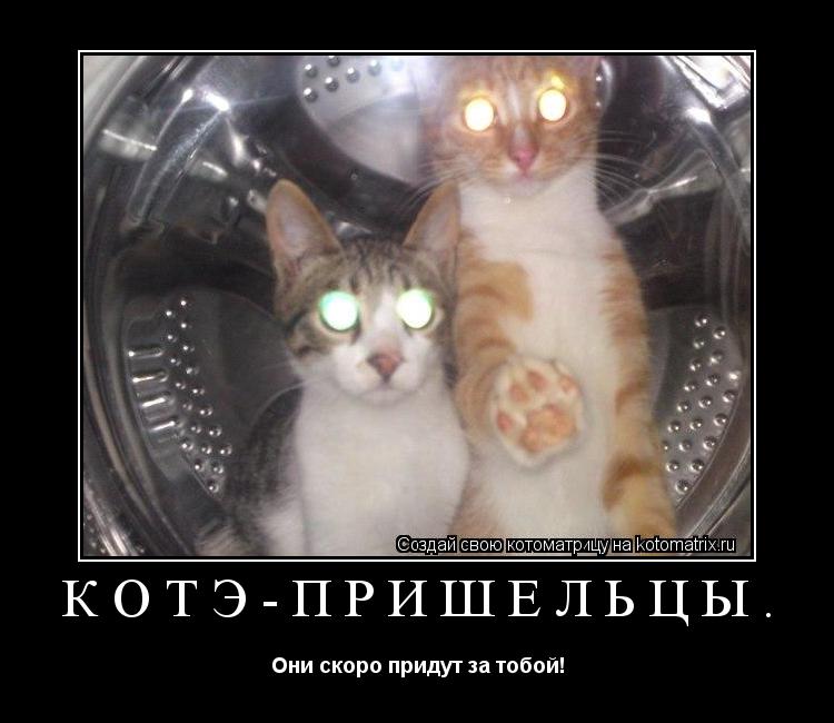 Котоматрица: Котэ-пришельцы. Они скоро придут за тобой!