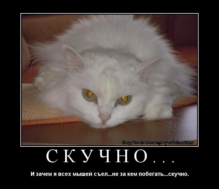 Котоматрица: скучно... И зачем я всех мышей съел...не за кем побегать...скучно.