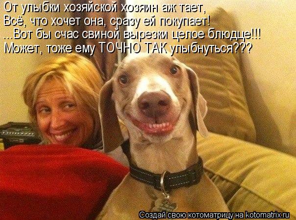 От улыбки хозяйской хозяин аж тает, Всё, что хочет она, сразу ей покупает! ...Вот бы счас свиной выре... Котоматрица: От улыбки хозяйской хозяин аж тает, Всё, что хочет она, сразу ей покупает! ...Вот бы счас свиной вырезки целое блюдце!!! Может, тоже ему ТОЧНО ТА