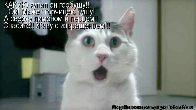 КАКУЮ купил он горбушу!!! ...Ой! Мажет горчицею тушу! А сверху лимоном и перцем!! Спасите!! Живу с из... Котоматрица: КАКУЮ купил он горбушу!!! ...Ой! Мажет горчицею тушу! А сверху лимоном и перцем!! Спасите!! Живу с извращенцем!!!