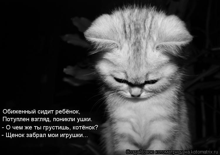Обиженный сидит ребёнок, Потуплен взгляд, поникли ушки. - О чем же ты грустишь, котёнок? - Щенок забр... Котоматрица: Обиженный сидит ребёнок, Потуплен взгляд, поникли ушки. - О чем же ты грустишь, котёнок? - Щенок забрал мои игрушки...