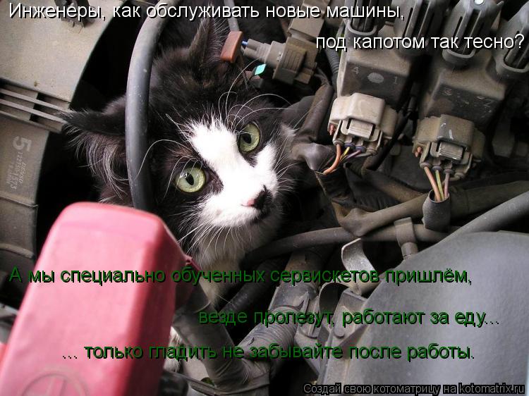 Инженеры, как обслуживать новые машины, везде пролезут, работают за еду... А мы специально обученных... Котоматрица: Инженеры, как обслуживать новые машины, везде пролезут, работают за еду... А мы специально обученных сервискетов пришлём, ... только гладить