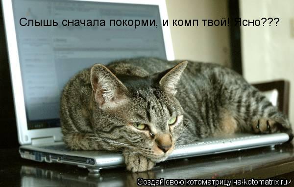 Слышь сначала покорми, и комп твой! Ясно???... Котоматрица: Слышь сначала покорми, и комп твой! Ясно???