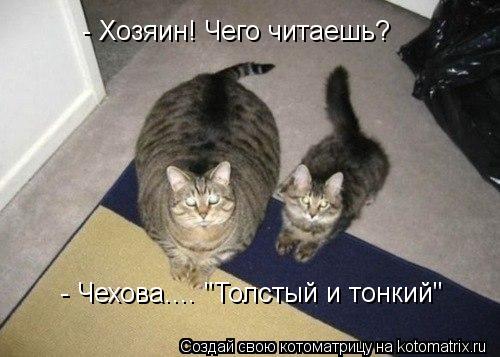 - Хозяин! Чего читаешь? - Чехова.... "Толстый и тонкий"... Котоматрица: - Хозяин! Чего читаешь? - Чехова.... "Толстый и тонкий"