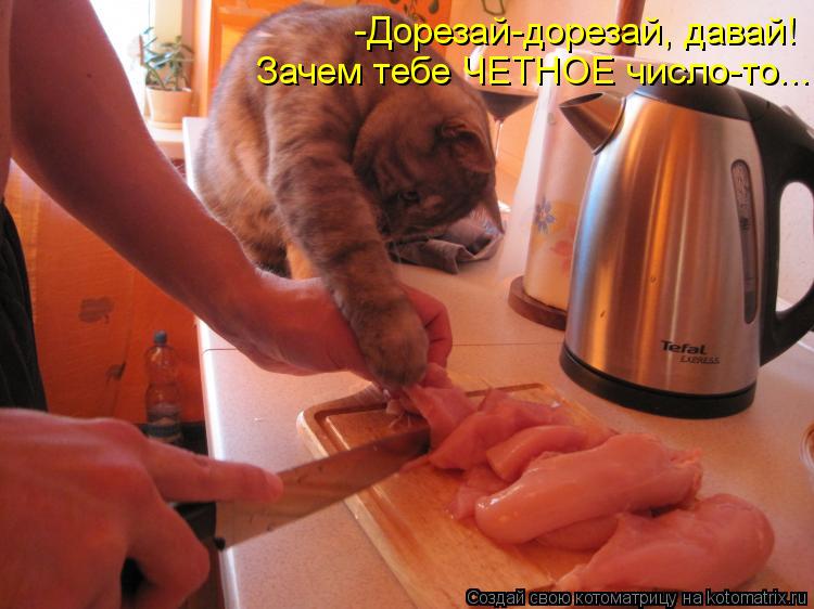 -Дорезай-дорезай, давай! Зачем тебе ЧЕТНОЕ число-то...... Котоматрица: -Дорезай-дорезай, давай! Зачем тебе ЧЕТНОЕ число-то...