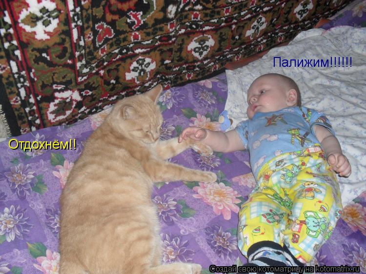Палижим!!!!!! Отдохнём!!... Котоматрица: Палижим!!!!!! Отдохнём!!